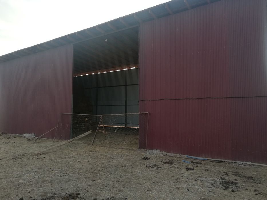 Фазенда для откорма на 60голов