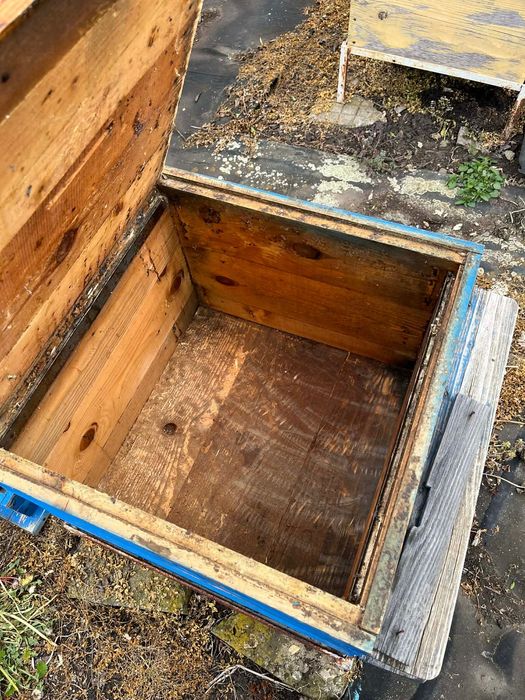 Кошери със магазини