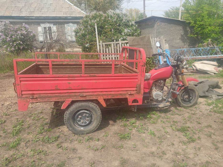 Моторолер муравей