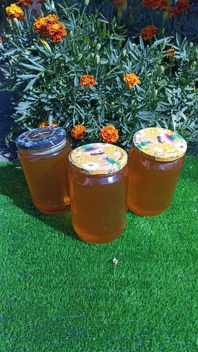 Пчелен мед реколта 2025