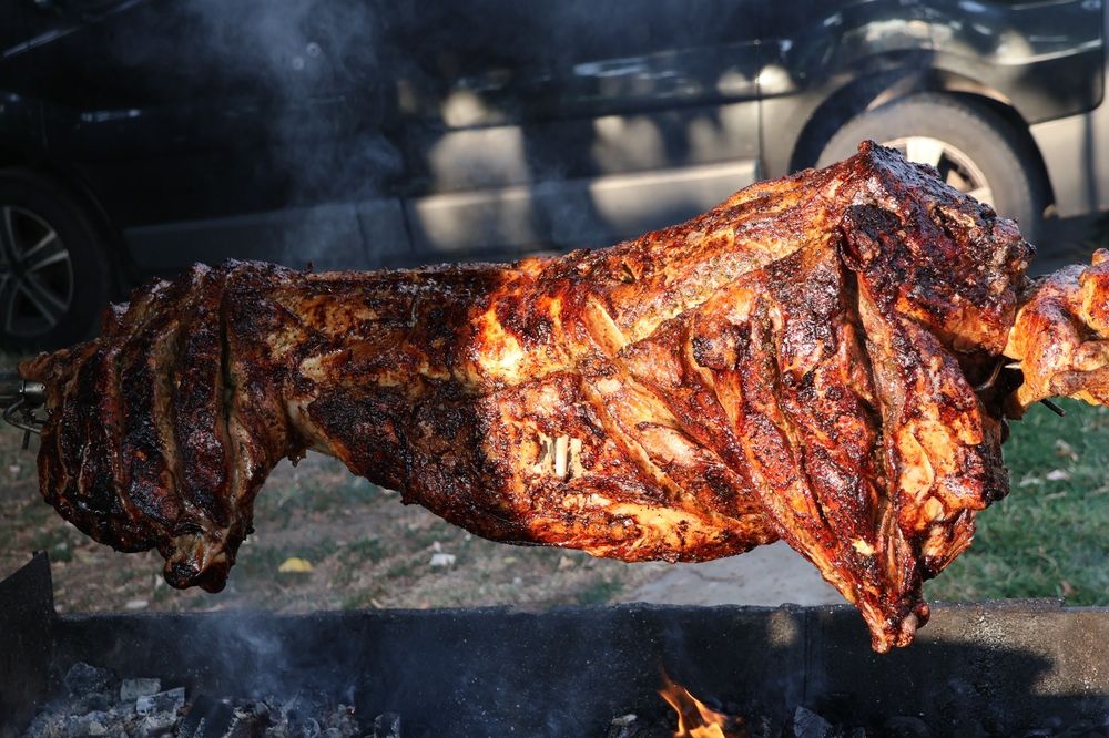 Dani,Protap,Rotisor.