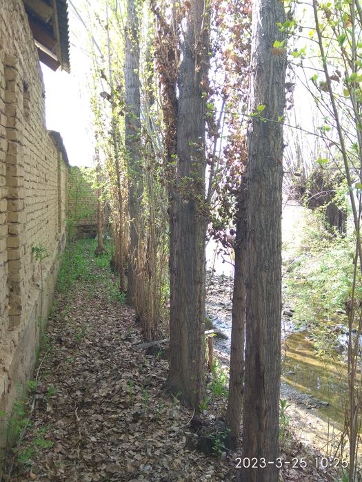 Ховли уй 21 сотик Хонобод шахри