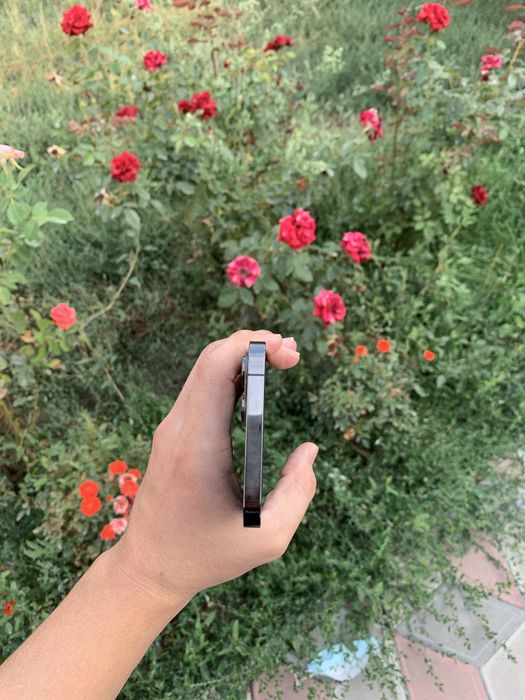 iPhone 12 Pro Max.