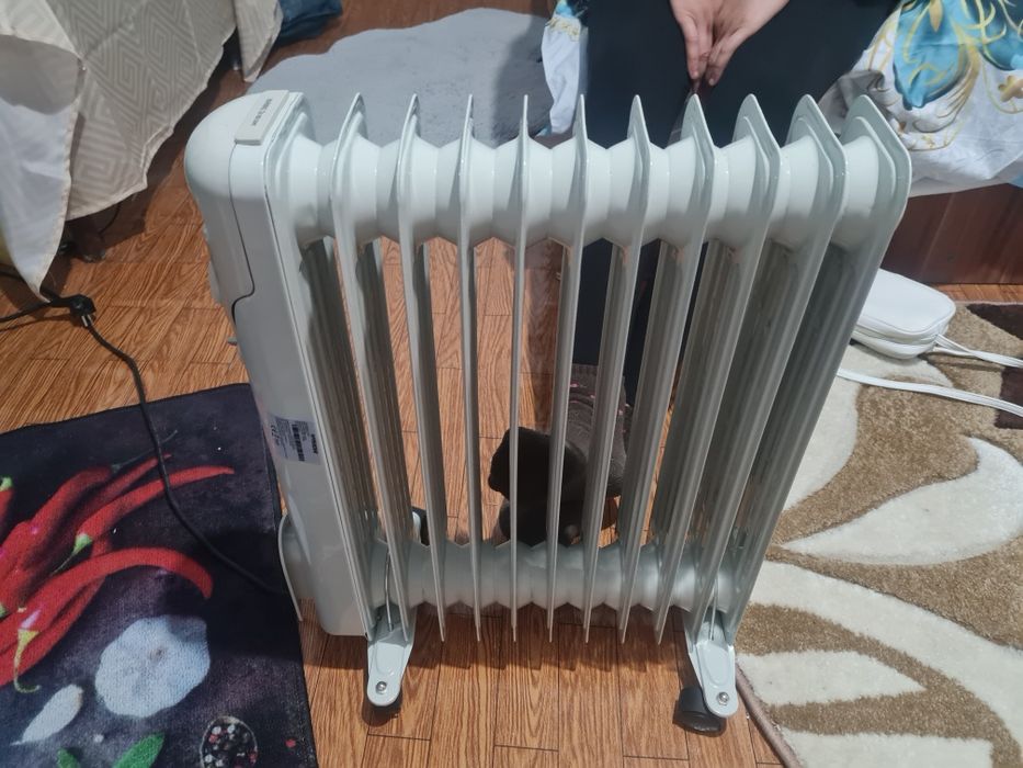 Calorifer ap nou pe ulei