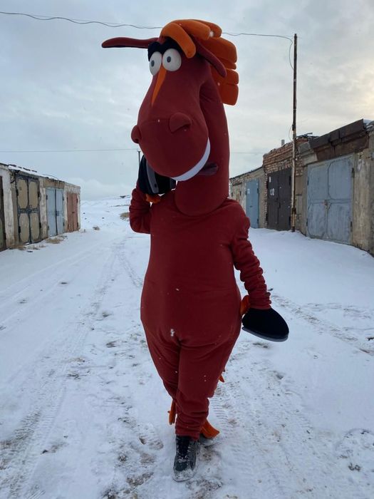 Срочно продается костюм Осла