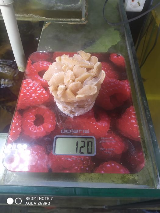 Замороженные науплии артемии