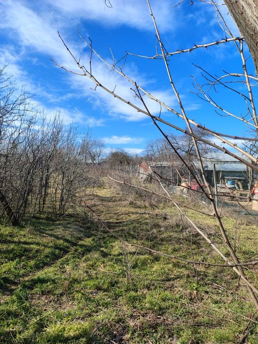 Loc de casa 2364mp comuna Brăhășești