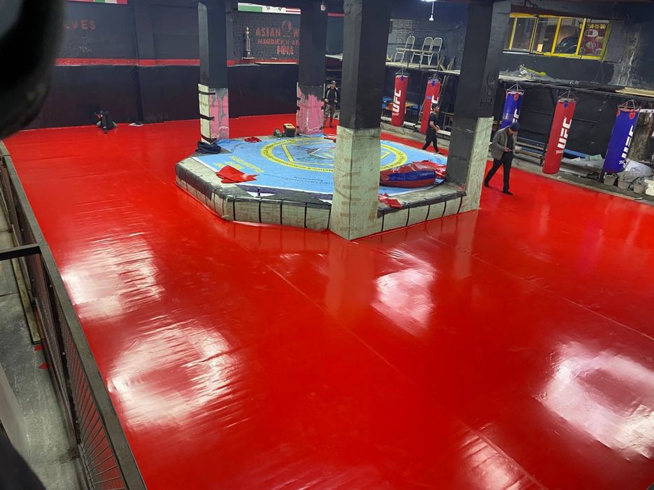 Aktagon Sport mat октагон , спортивный Мат Борцовский мат даян татами