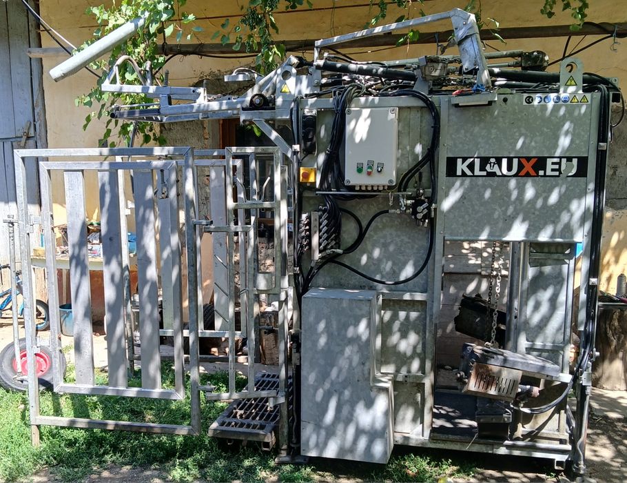 Curatire ongloane bovine