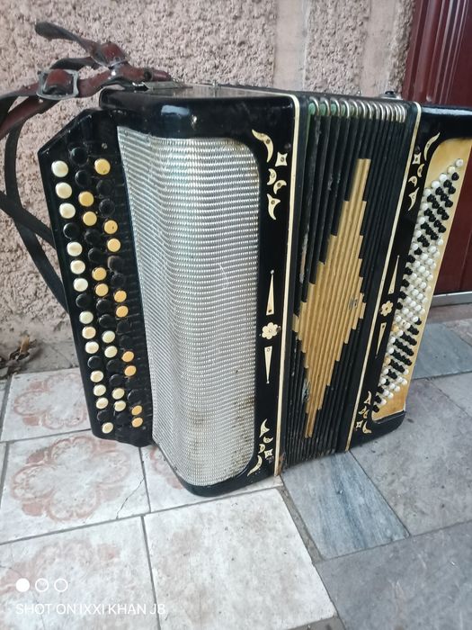 Баян.  Белорусь.