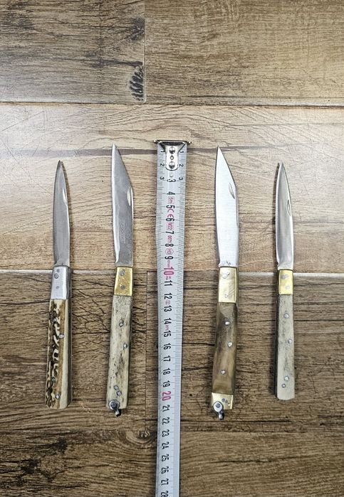 Bricege corn de cerb