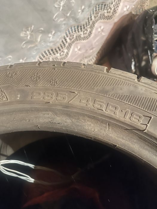 Ризина r18.