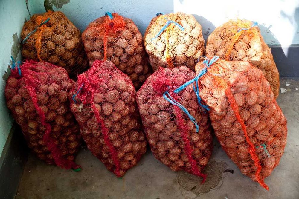 Nuci in Coaja - de vanzare