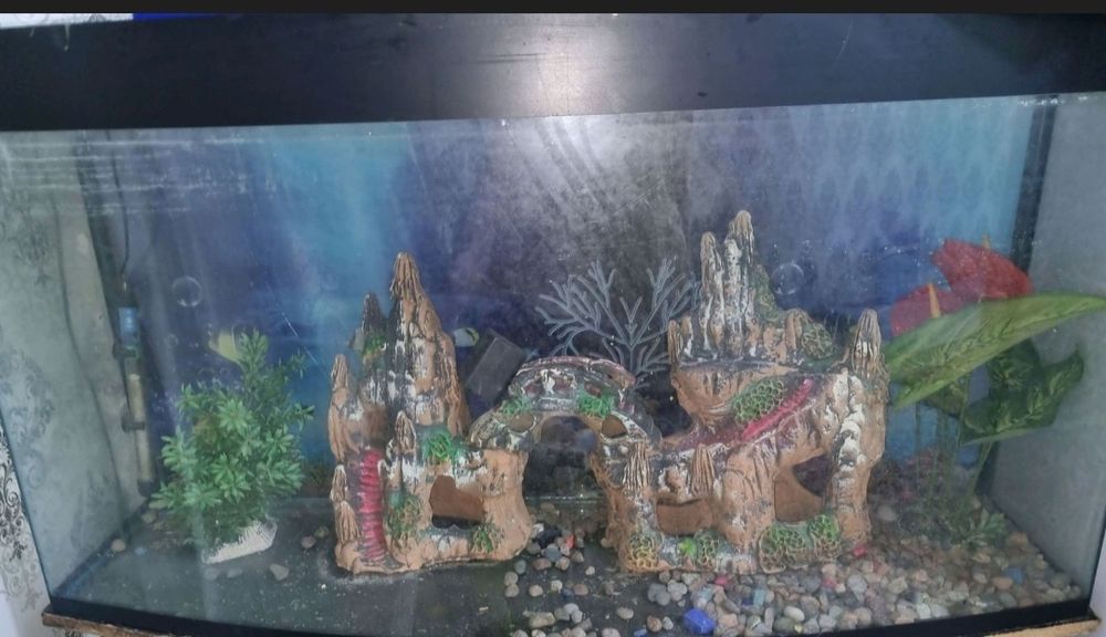 Akvarium 250 litr