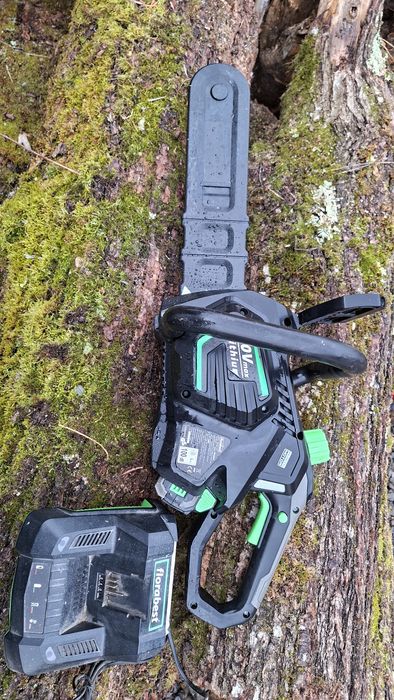 Drujba electrica cu acumulator Florabest