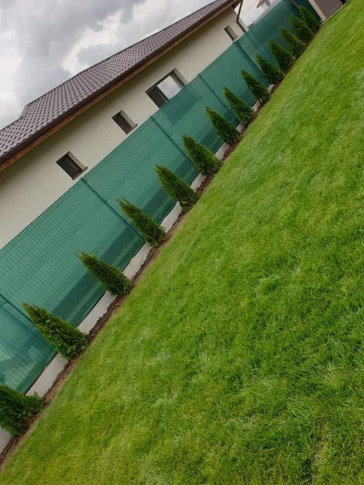 Gazon rulou sport de vis oriunde in tara si montat sistem irigare