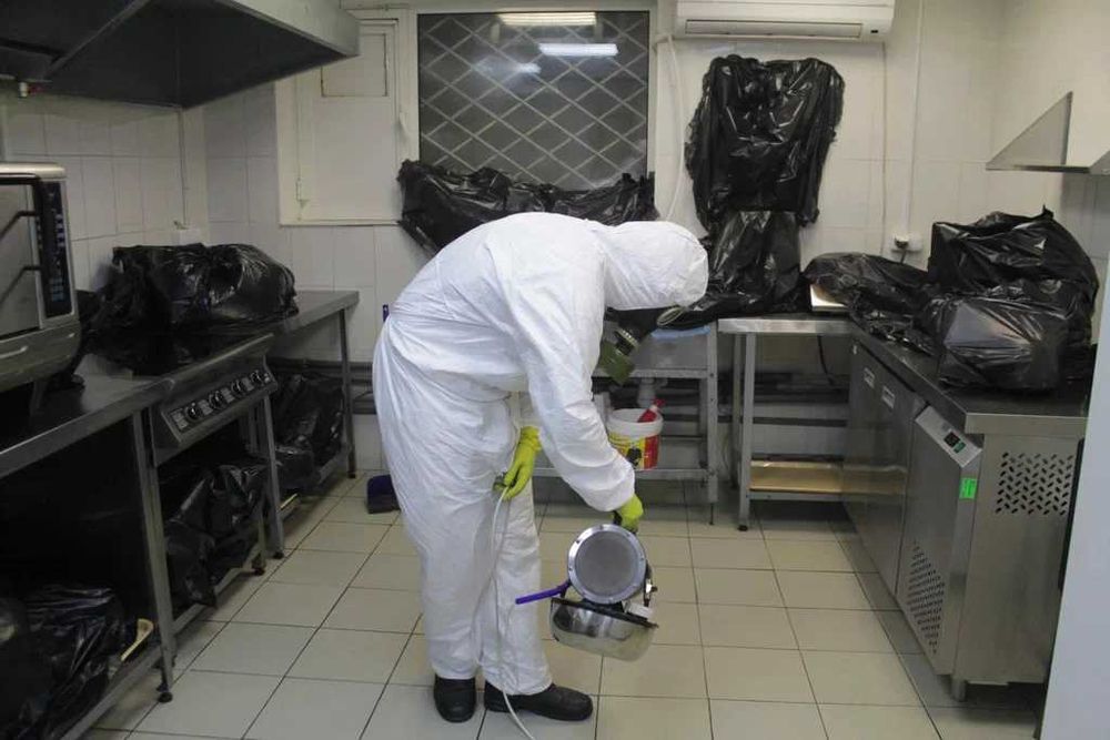 Dezinfeksiya dizinfeksiya dizenfeksiya sichqon, kalamush, ilon,