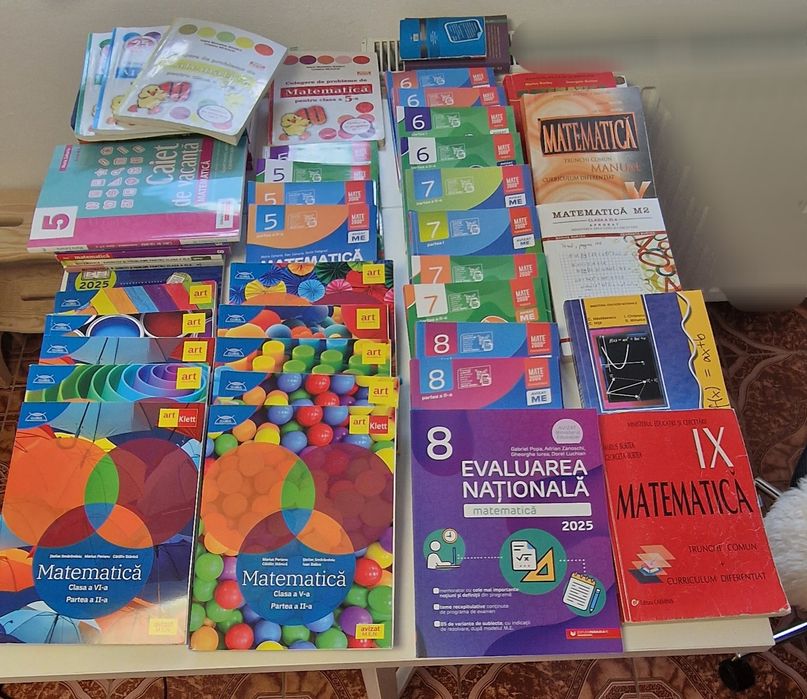 Matematica - engleză meditații