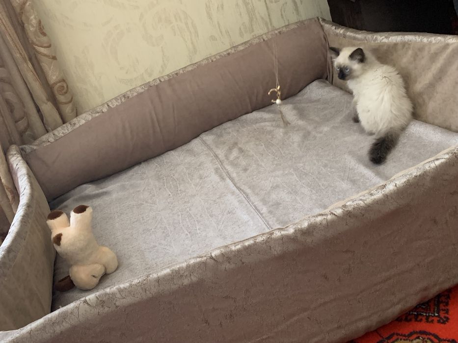 Манеж лежанка для кошек и собак