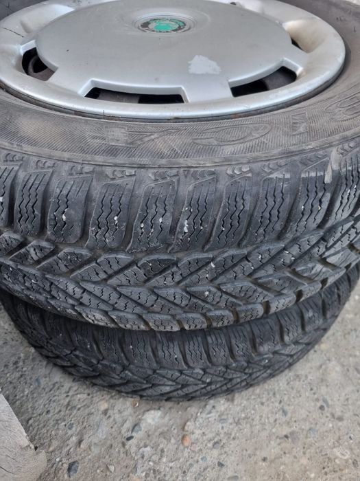 Roti iarna skoda Octavia 1 golf 4 bora seat