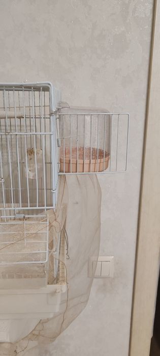 Продам амадинов с клеткой