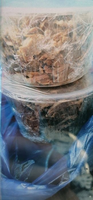 Fastfood lar uchun ajoyib taklif tayyor piwgan donar gowt va katlet