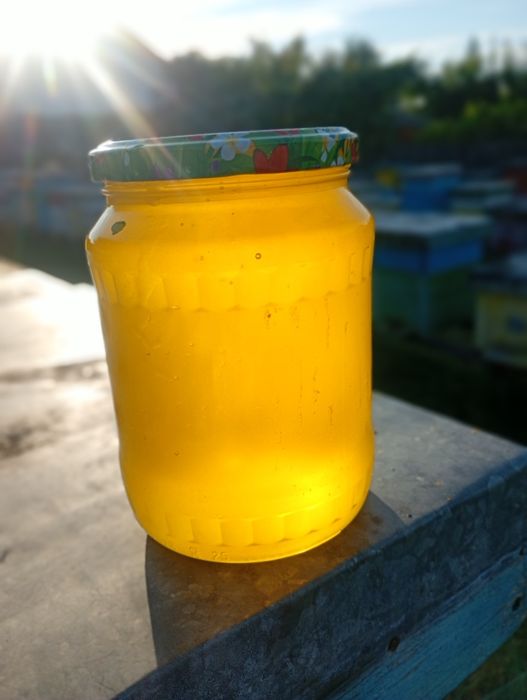 Vând miere de tei producție 2026