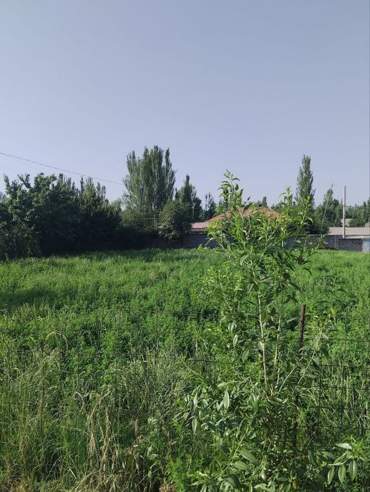 Xujjatlari joyida