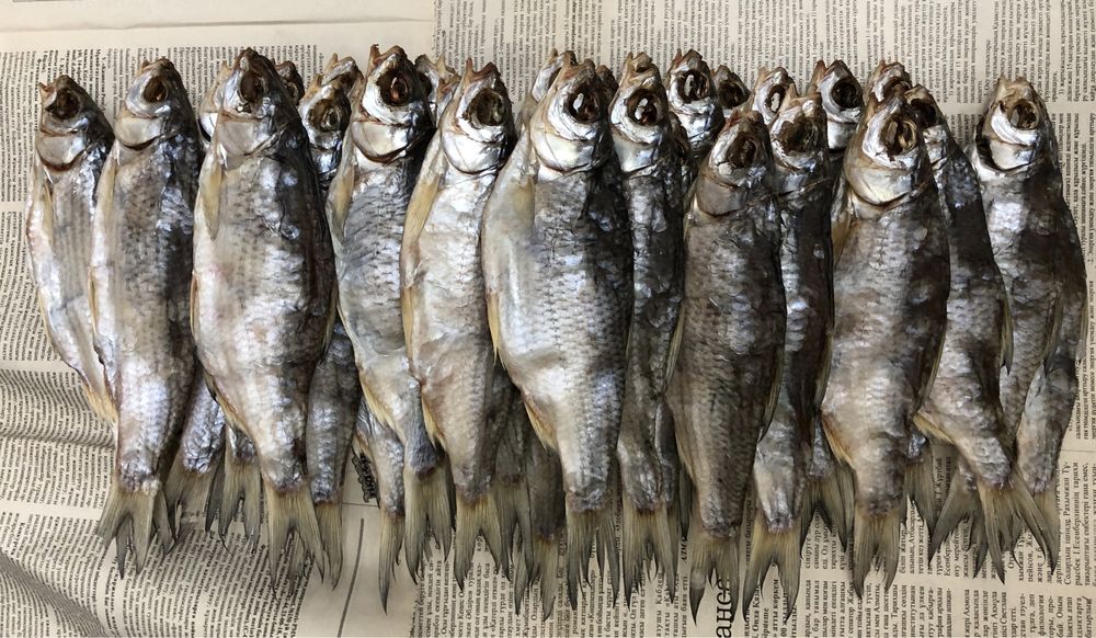 Свежая вяленая вобла