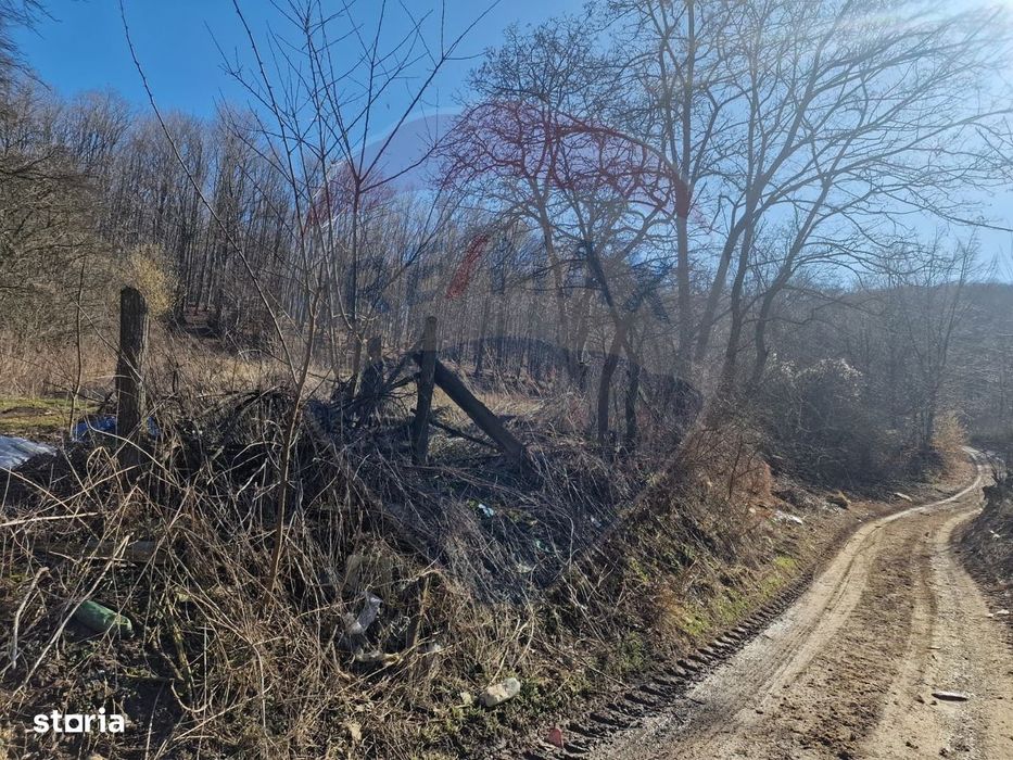 Teren de Vânzare în Pâncești (Sascut)