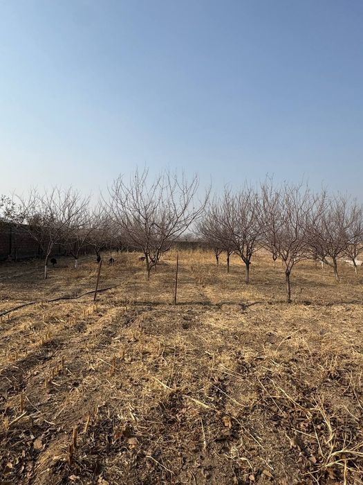 Yer sotiladi uy qurib foydalanishga