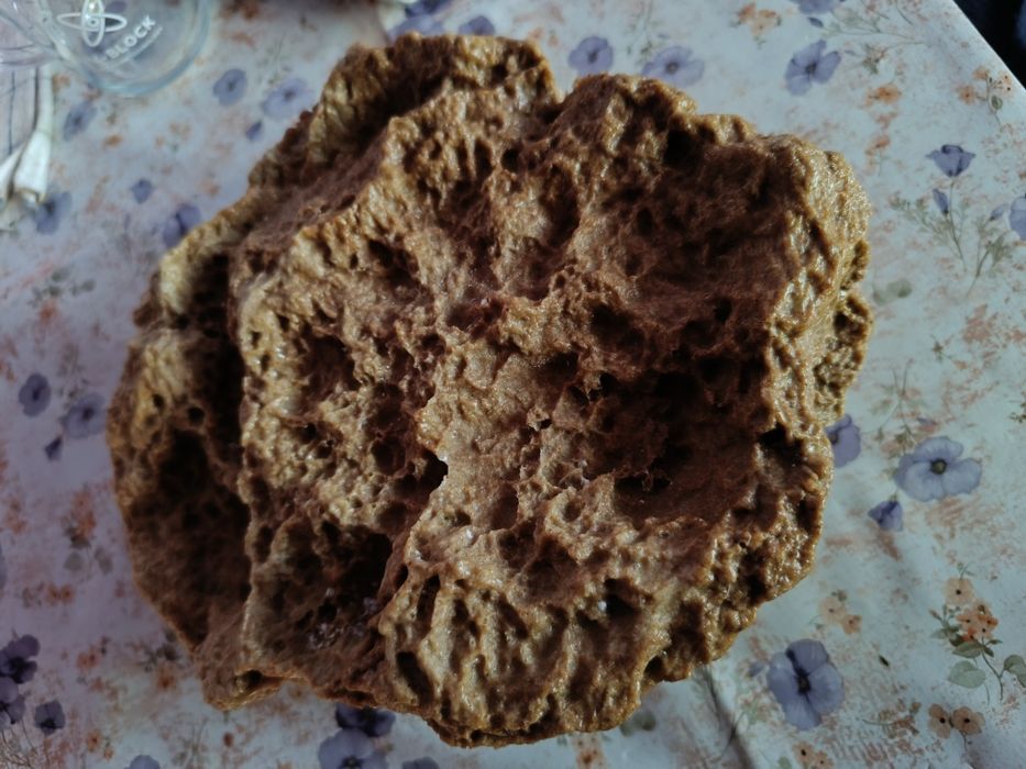 Големи укрития за екзотични животни