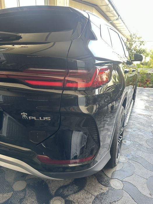 Byd champion full 2024yil