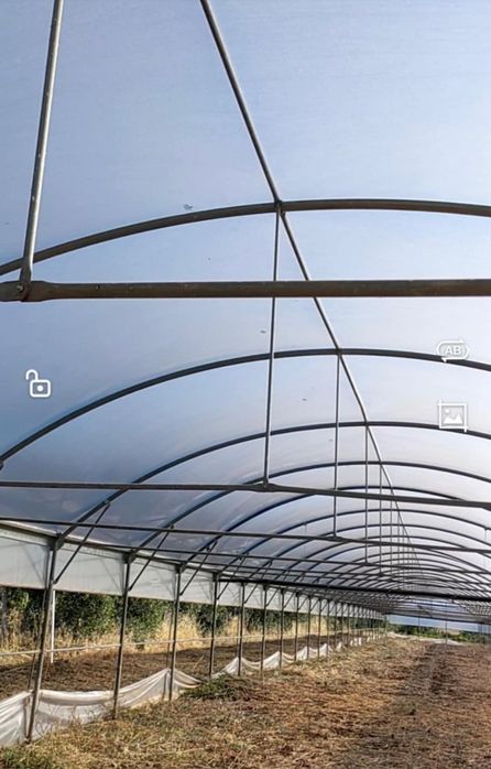 Оранжерия подцинкована