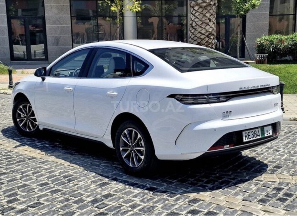 11500 сутки На выкуп!