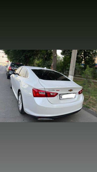 malibu 2 oq beliy jemchug