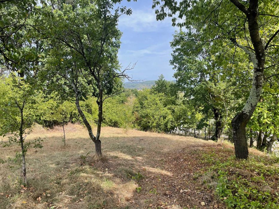 Teren intravilan 2.359 mp Valea lui Enache, Baiculesti, apa, curent, asfalt