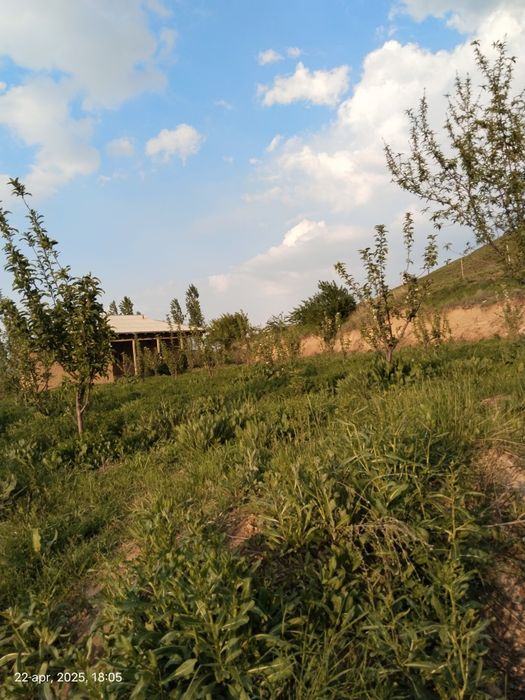 Uy sotiladi 5 xonali