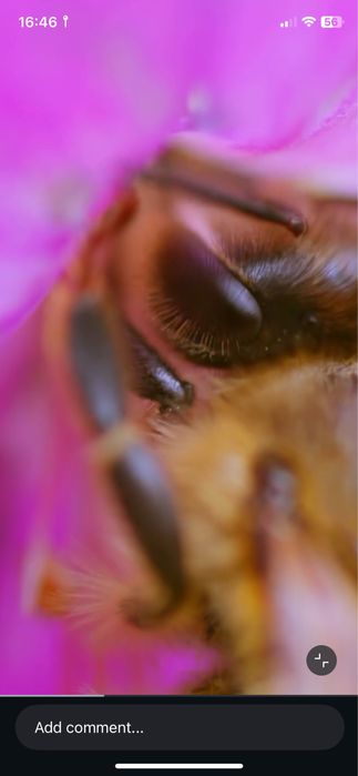 7artisans 60mm f/2.8 II Macro sony E