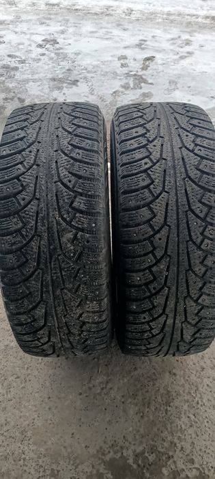 Пара баллонов nokian