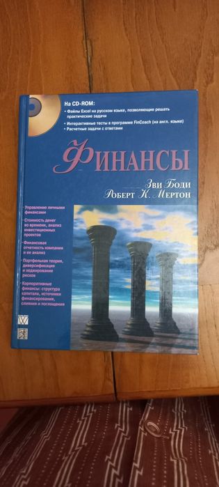 Зви Боди. Финансы