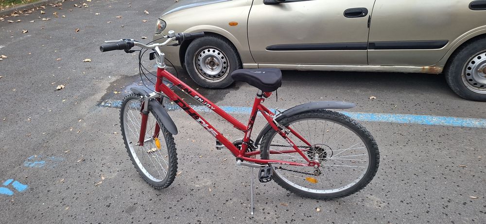 Bicicleta Dhs dama
