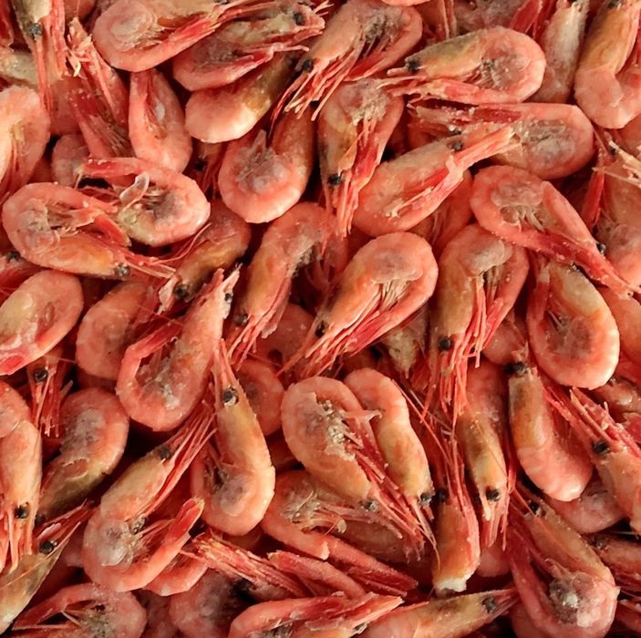 Доставка раков,живые раки,камчатский краб,креветки