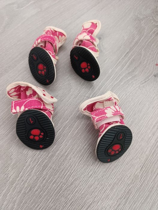 Обувь для маленькой породы собак