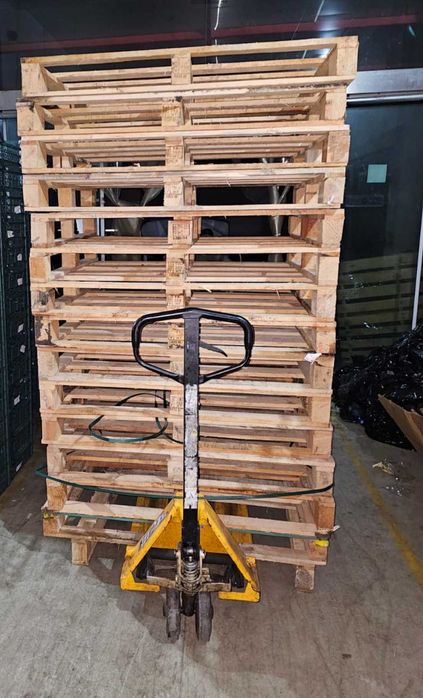 Paleti ATIPICI diferite dimensiuni