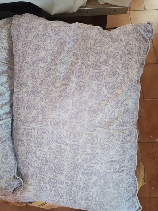 Doua perne 50/70 din puf și pene