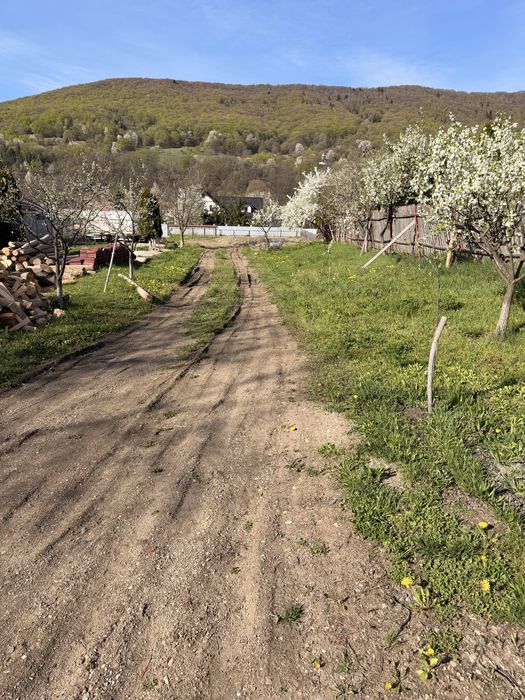 Teren de vanzare la 4 benzi