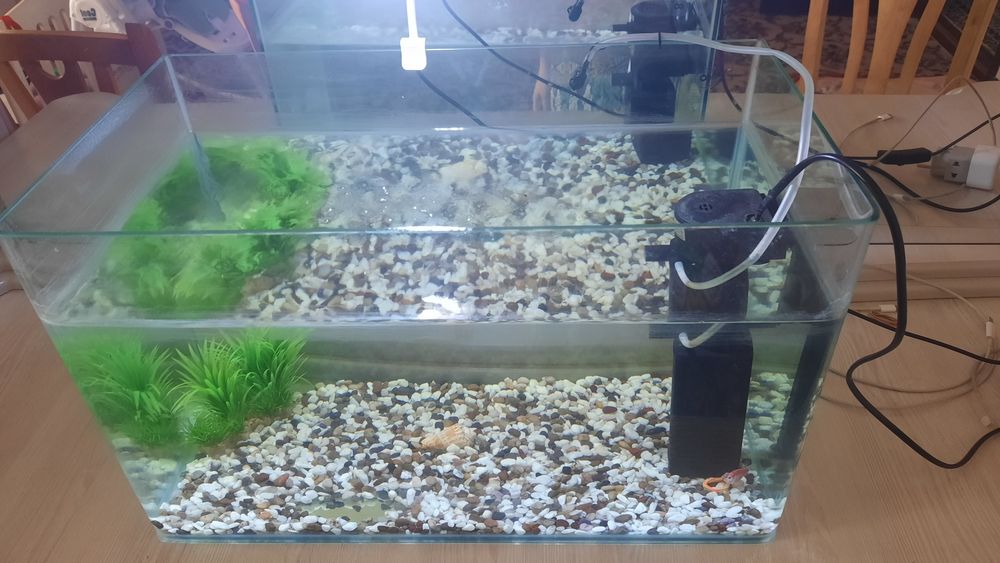 Akvarium sotiladi hamma narsasi ichida