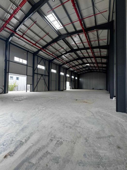 Hala + Showroom si birouri de inchiriat