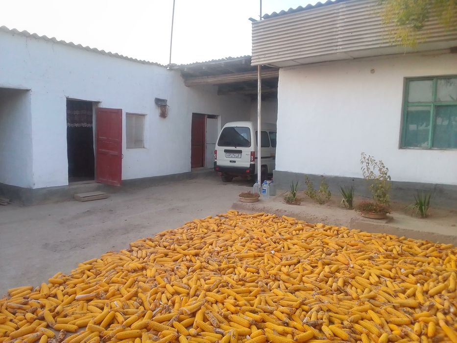 Үй сотилади Бука туманида,Чавлисой МФИ ,Замондош кучаси 30